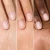Comparaison_carnations.jpg.webp